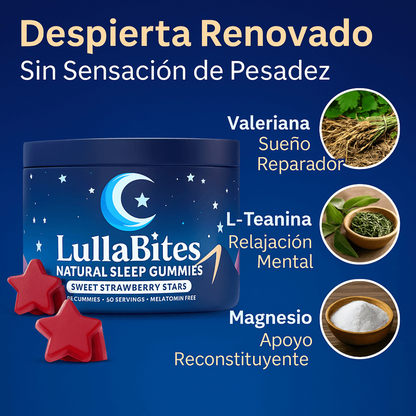 Descansa Mejor y Recupera tus Energías en pocos de días